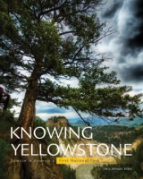 Knowing_Yellowstone